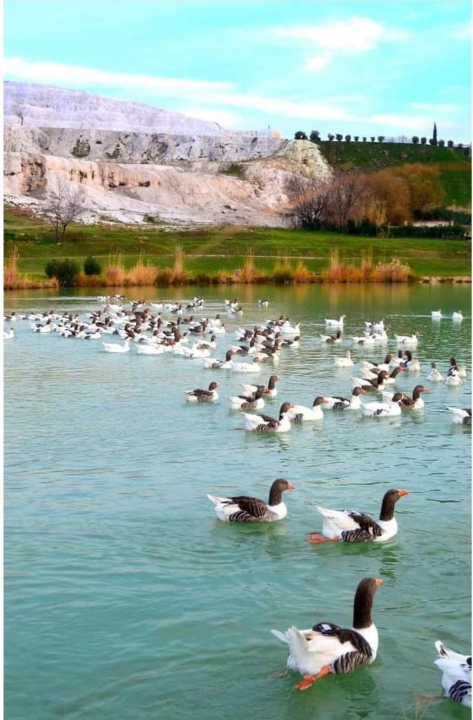 Akapella Hotel Pamukkale Exterior foto
